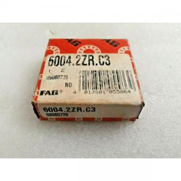 6004 2ZR C3 FAG Electric Motor Quality Ball Bearing